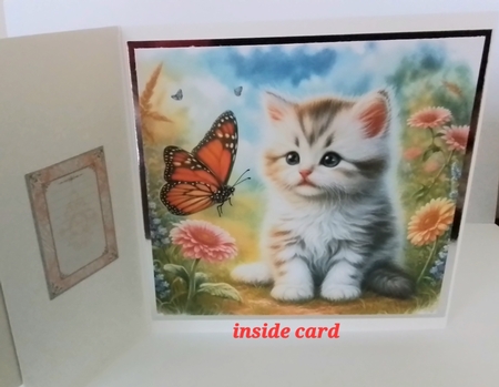 Butterfly Kitten by Pamela J