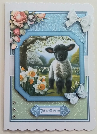 LITTLE LAMB by Pamela J