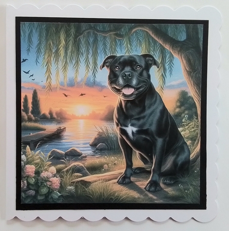Willow Sunet Dogs 1 by Pamela J