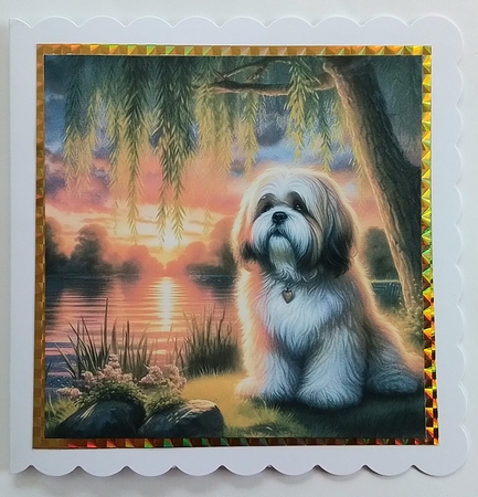 Willow Sunet Dogs 10 by Pamela J