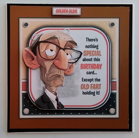You Old Fart! by Pamela J