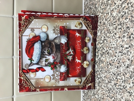 Festive Christmas Box With Pussy Cat Mini Kit by Pat Horsford