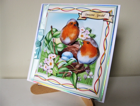 Beautiful Robins  Nest by Pat Mottram
