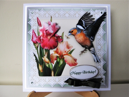 Finch Lace & Iris Flowers 6 x 6 Card Kit With Decoupage Insert Envelope Gift Cards & Masses Of Tags by Pat Mottram