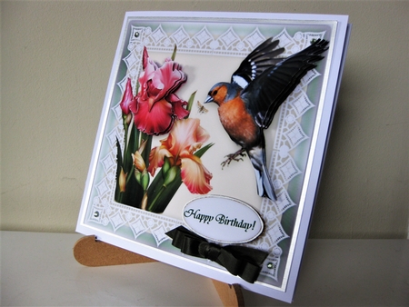Finch Lace & Iris Flowers 6 x 6 Card Kit With Decoupage Insert Envelope Gift Cards & Masses Of Tags by Pat Mottram