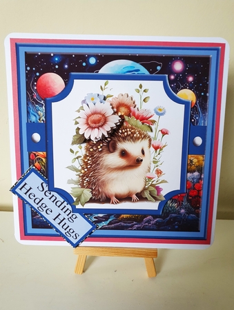 7x7 Birthday Hedgehogs #3 Featured Gallery Photo