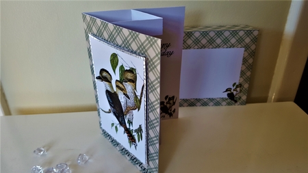 3 Birds Internal Window Card Kit by Pat Mottram