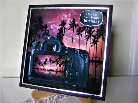 camera by Pat Mottram