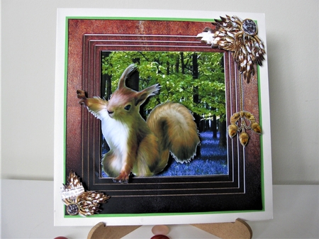 Stepping Out Again - Red Squirrel by Pat Mottram