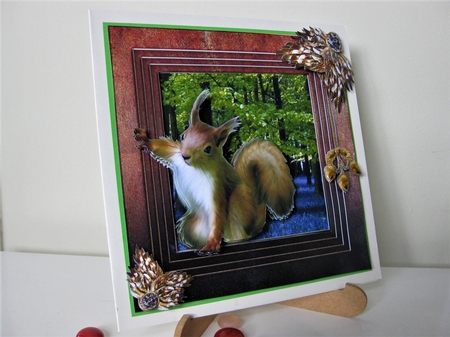 Stepping Out Again - Red Squirrel by Pat Mottram