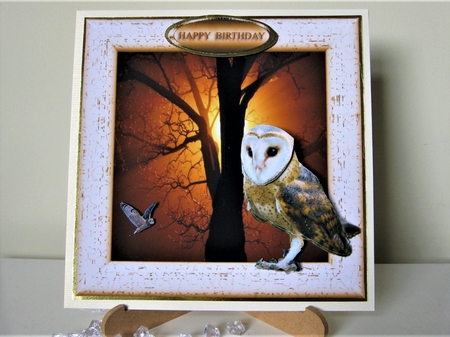 hoot by Pat Mottram