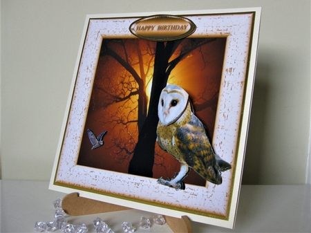 hoot by Pat Mottram