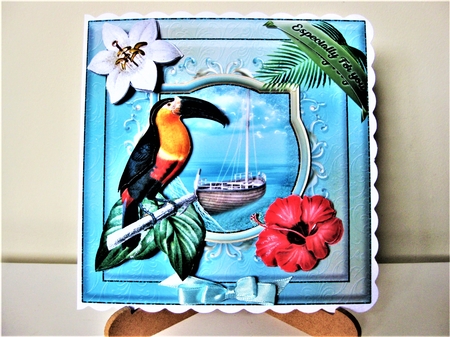 7 x 7 Pretty Macaw by Pat Mottram