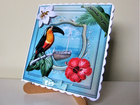 7 x 7 Pretty Macaw by Pat Mottram