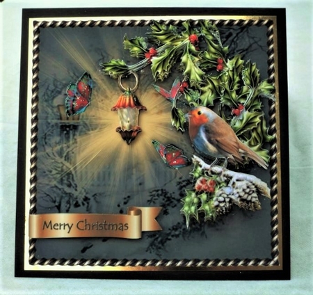 Christmas Flowers of Light - Robin Redbreast by Pat Mottram