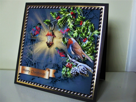 Christmas Flowers of Light - Robin Redbreast by Pat Mottram