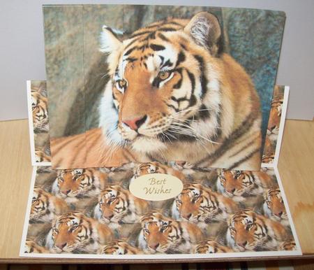 Tiger Sidestacker by Pat Rogers