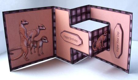 Meercats T-step Tri Fold by Patricia Blackburn