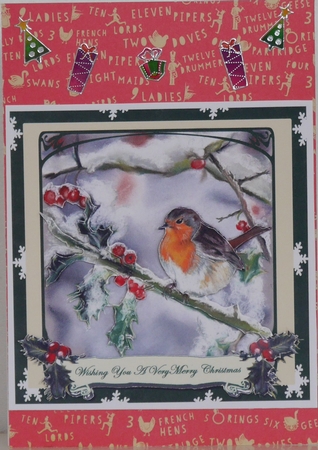 Robin in Snow by Patricia Holt
