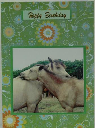 Lovely Horses in a Frame by Patricia Holt