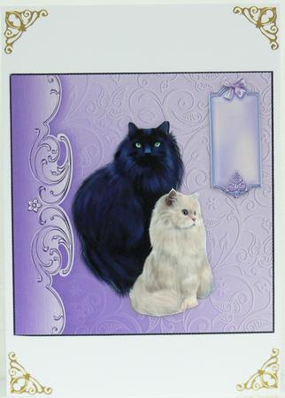 Our Cats by Patricia Holt
