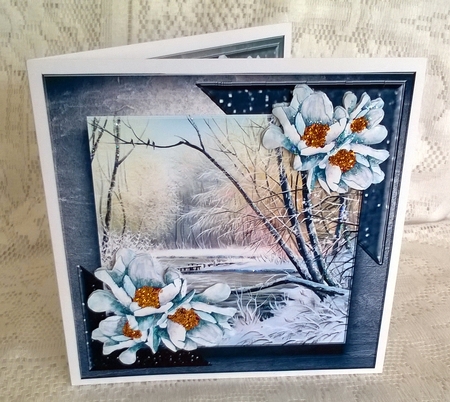 Winter Nature by Patricia Logan
