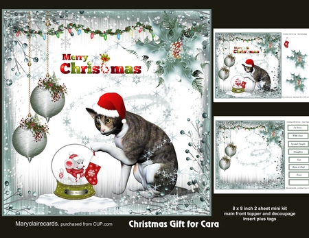 Grey Tabby Cat Poser Graphics by Patricia Logan