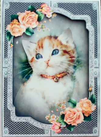 Orange roses and a cat by Patricia Logan