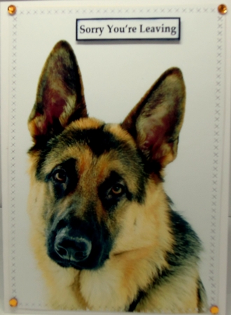 German Shepherd A5 Quick Card by Patricia Logan