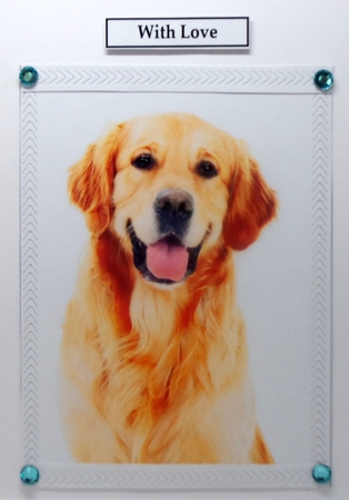 Golden Retriever A5 Quick Card by Patricia Logan