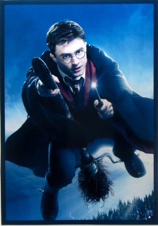 Harry Potter 3 A5 Quick Card by Patricia Logan