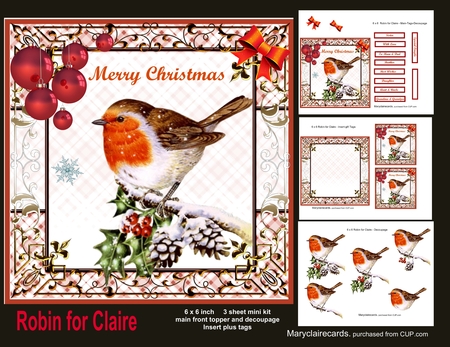 Little Robin Red Breast Decoupage 2 by Patricia Logan