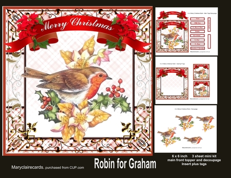 Little Robin Red Breast Decoupage 3 by Patricia Logan