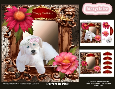 Victorian Frames by Patricia Logan