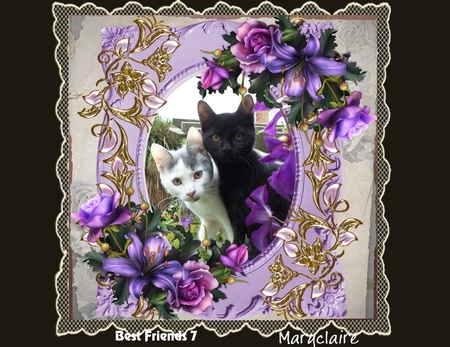 Fantasy Jewel Frames by Patricia Logan