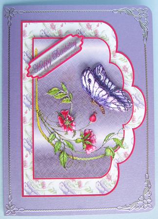 Flower Butterflies Featured Gallery Photo