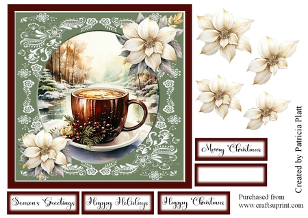 Pretty poinsettia 6 by Patricia Platt