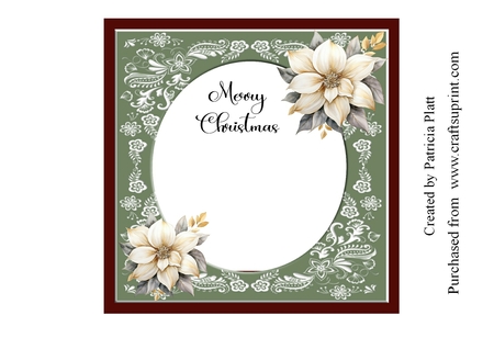 Pretty poinsettia 6 by Patricia Platt