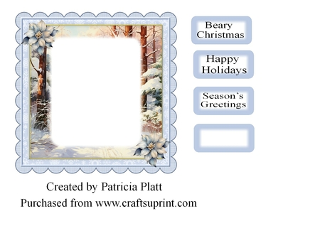 Winter forest 1 by Patricia Platt