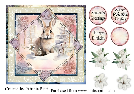 Snowflake Backgrounds-Lifes Beachy by Patricia Platt