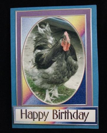 Chicken Topper by Patricia Platt