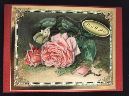 Butterfly Resting on a Pink Rose by Patricia Platt