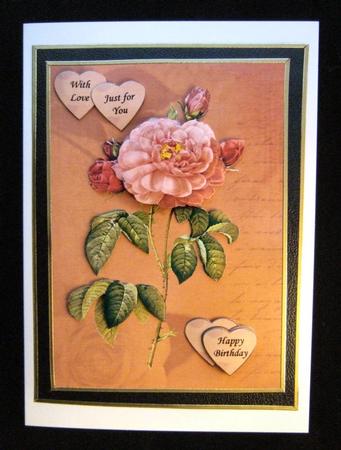 Florabunda Rose by Patricia Platt