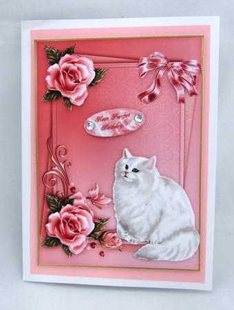 Angroa Cat and Roses by Patricia Platt
