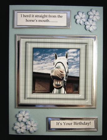 Funny Face Horse Toppers by Patricia Platt