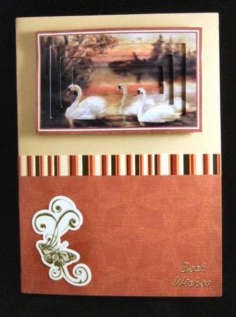 The Swan Family by Patricia Platt