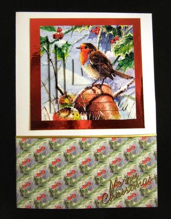 Robin by Patricia Platt