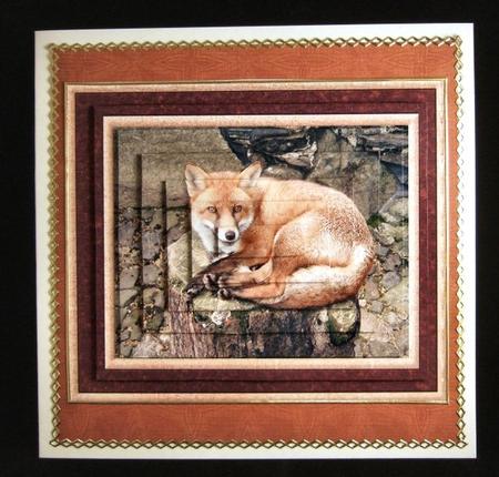 Fox Pyramid by Patricia Platt