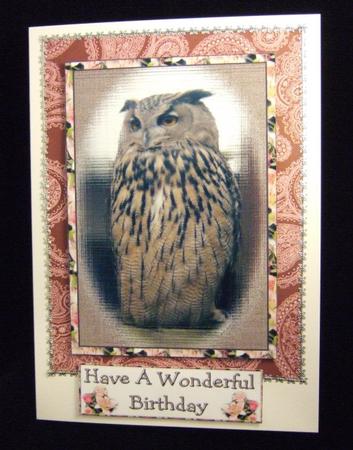 Owl Topper by Patricia Platt