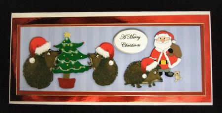 Hedgehog Christmas by Patricia Platt
